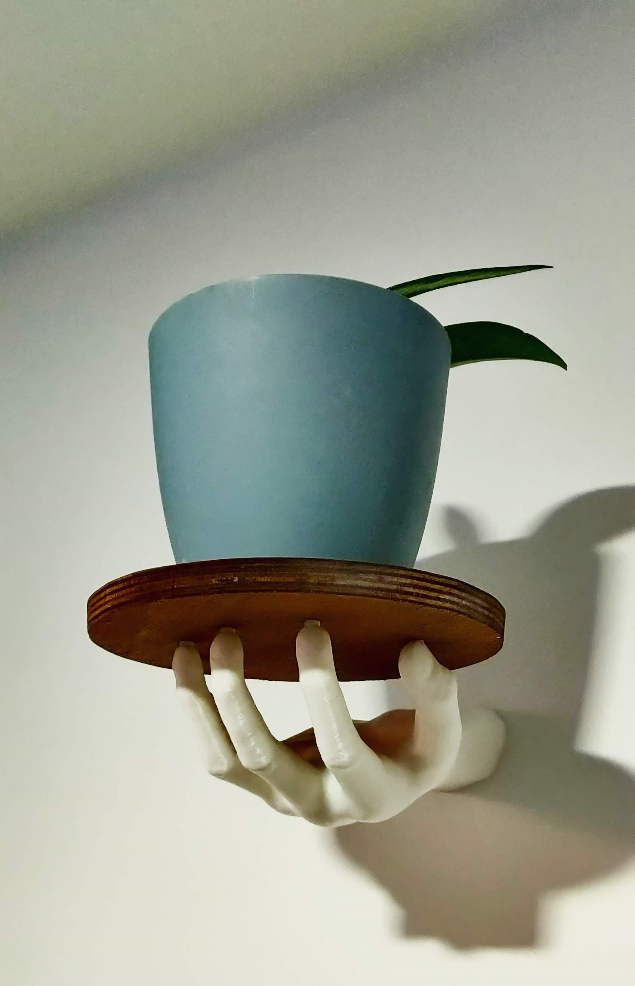 HAND SHELF 3D print model_6