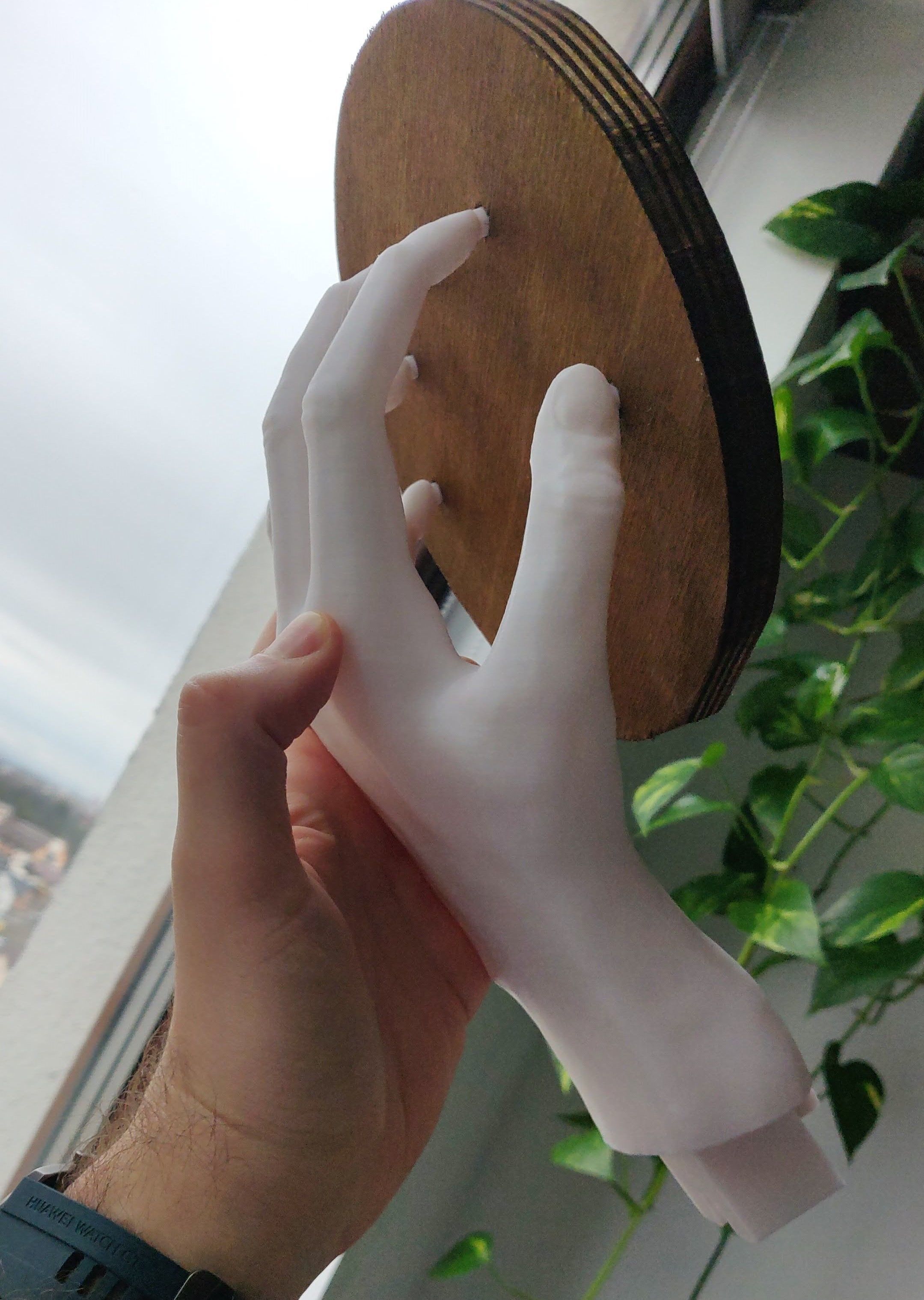 HAND SHELF 3D print model_2