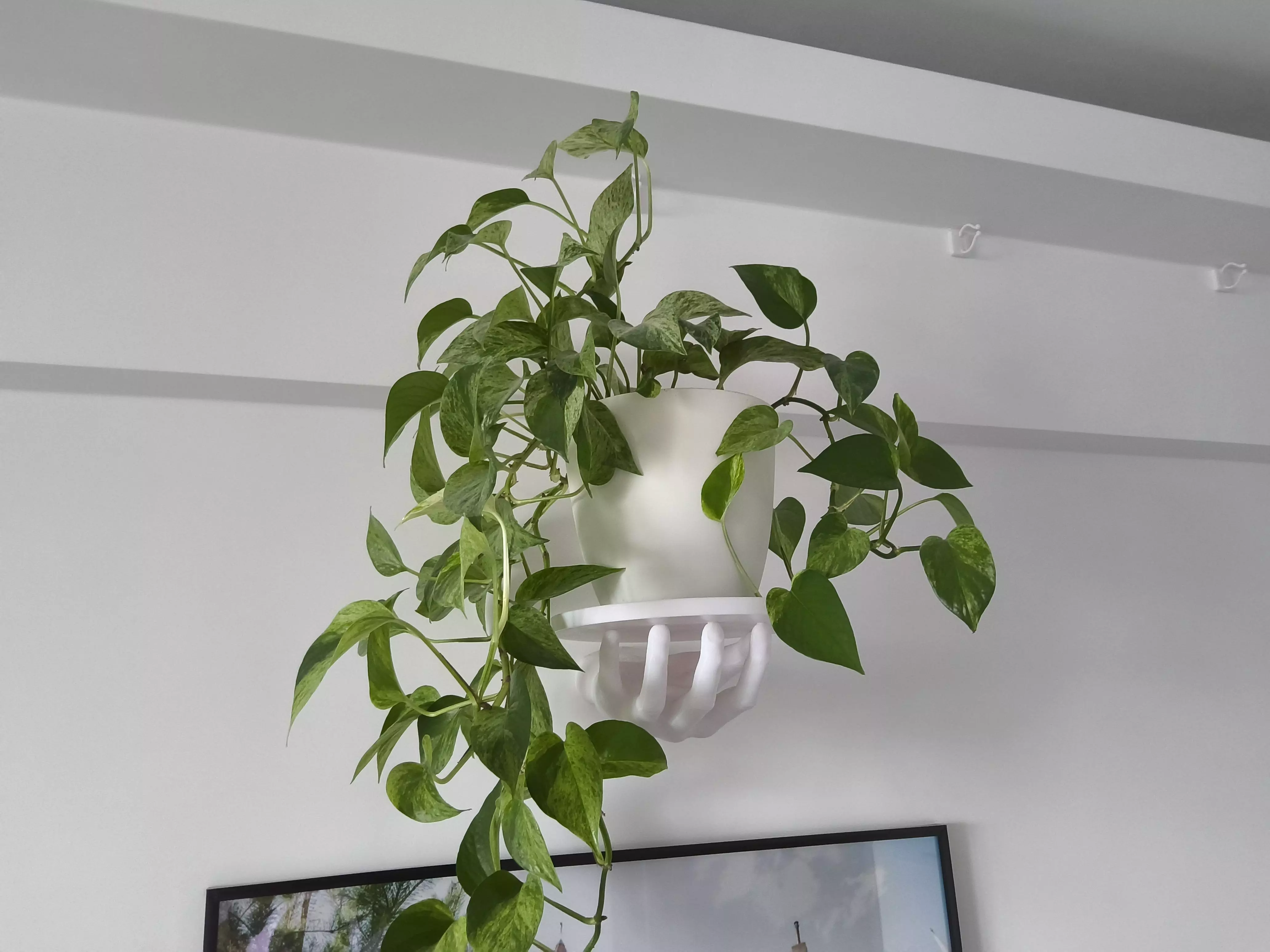 HAND SHELF 3D print model_0