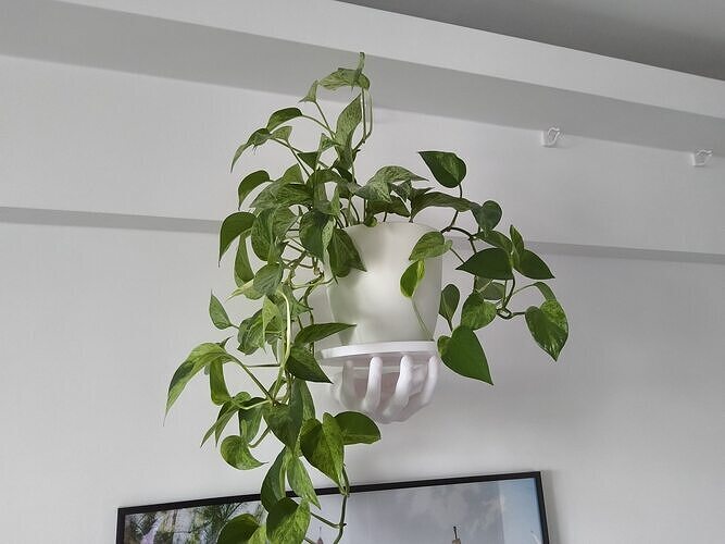 HAND SHELF 3D print model