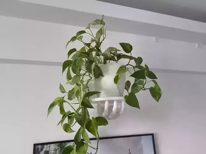 HAND SHELF 3D print model