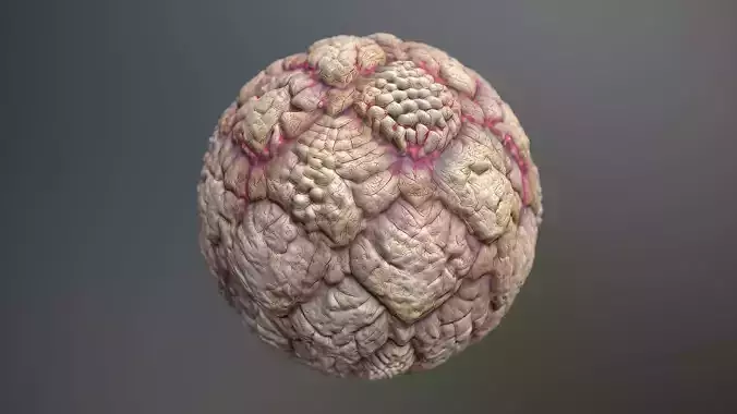 Material Skin Monster 50 Seamless PBR Texture Texture