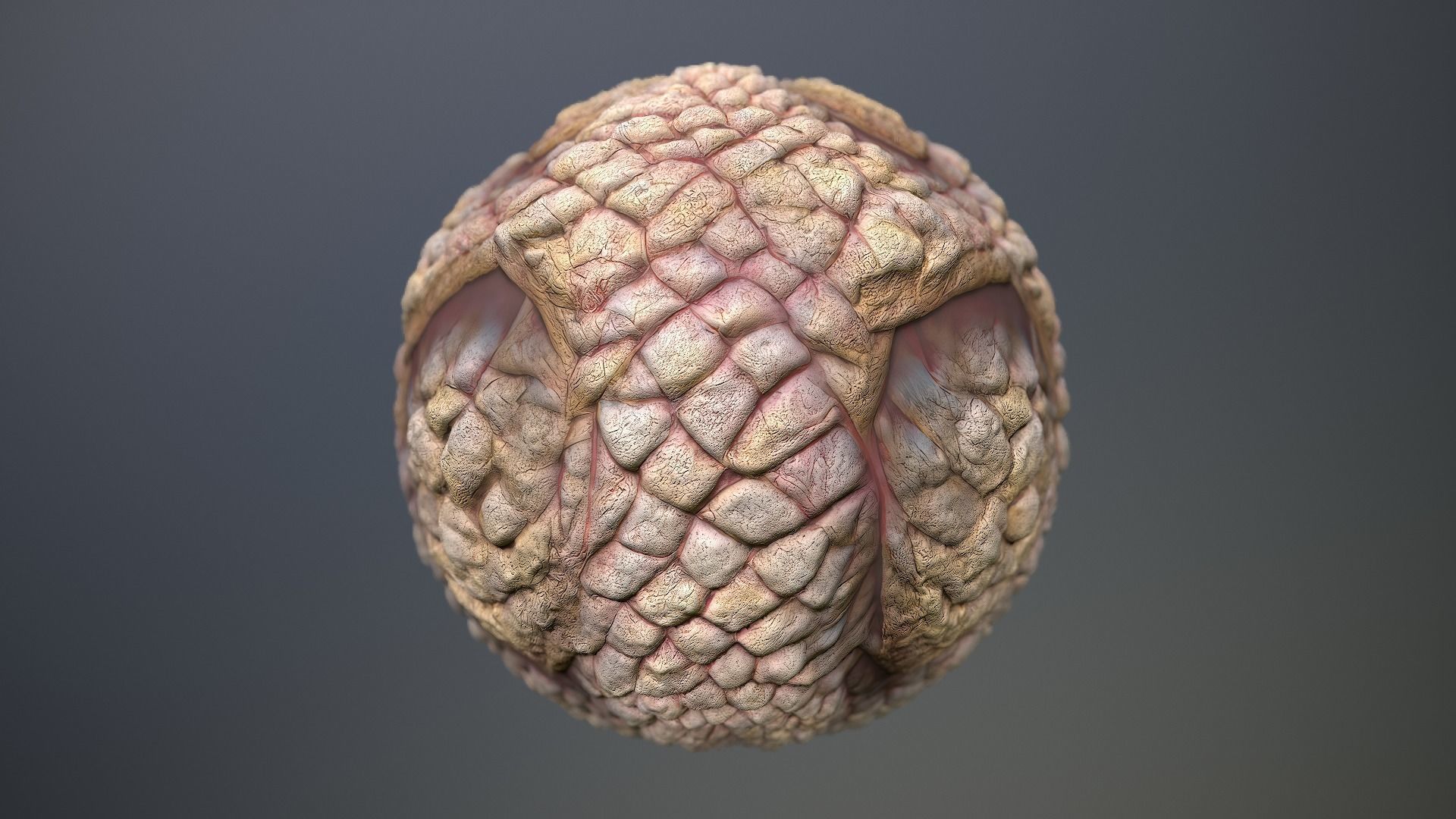 Material Skin Monster 49 Seamless PBR Texture Texture_11