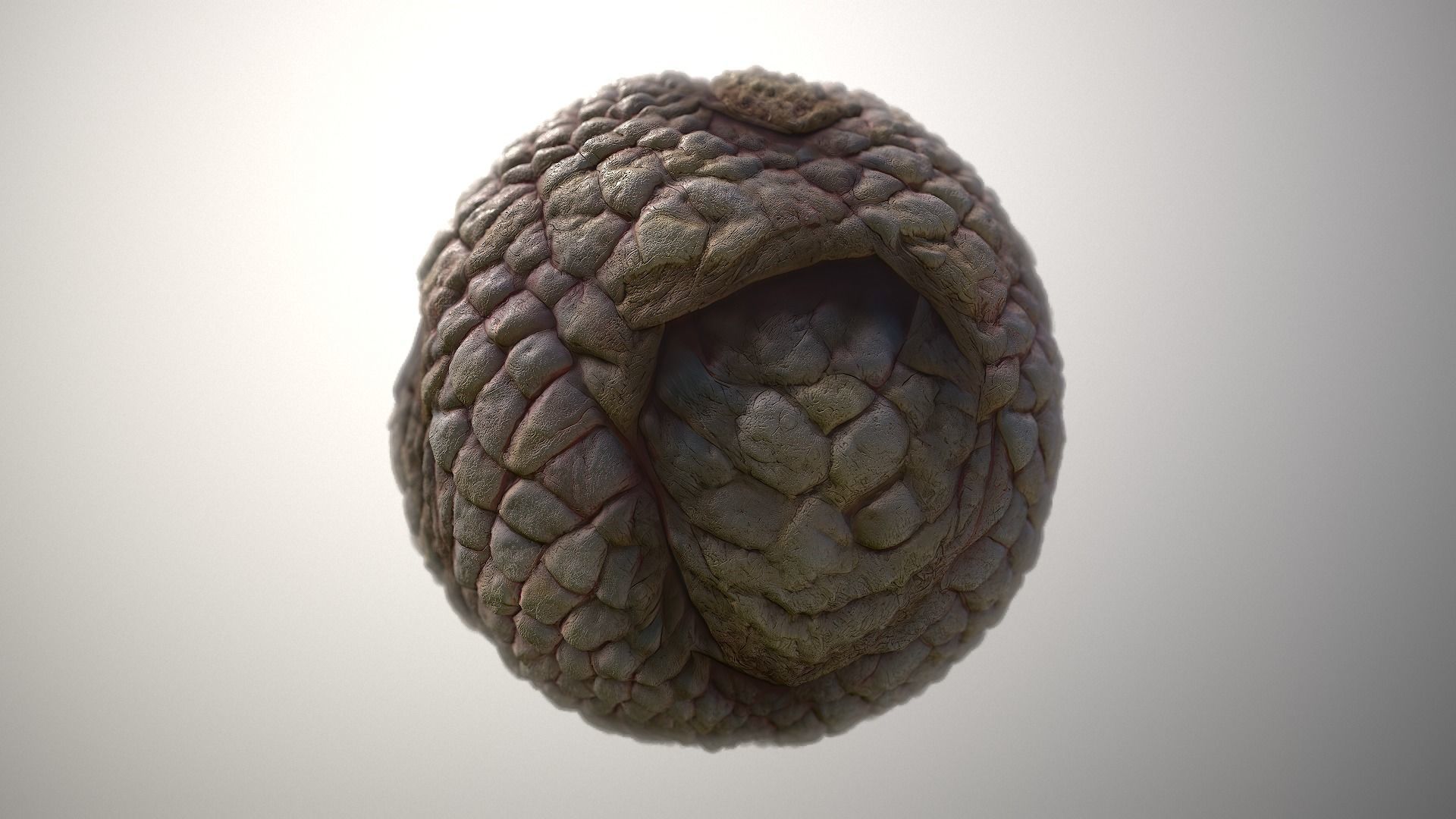 Material Skin Monster 49 Seamless PBR Texture Texture_4