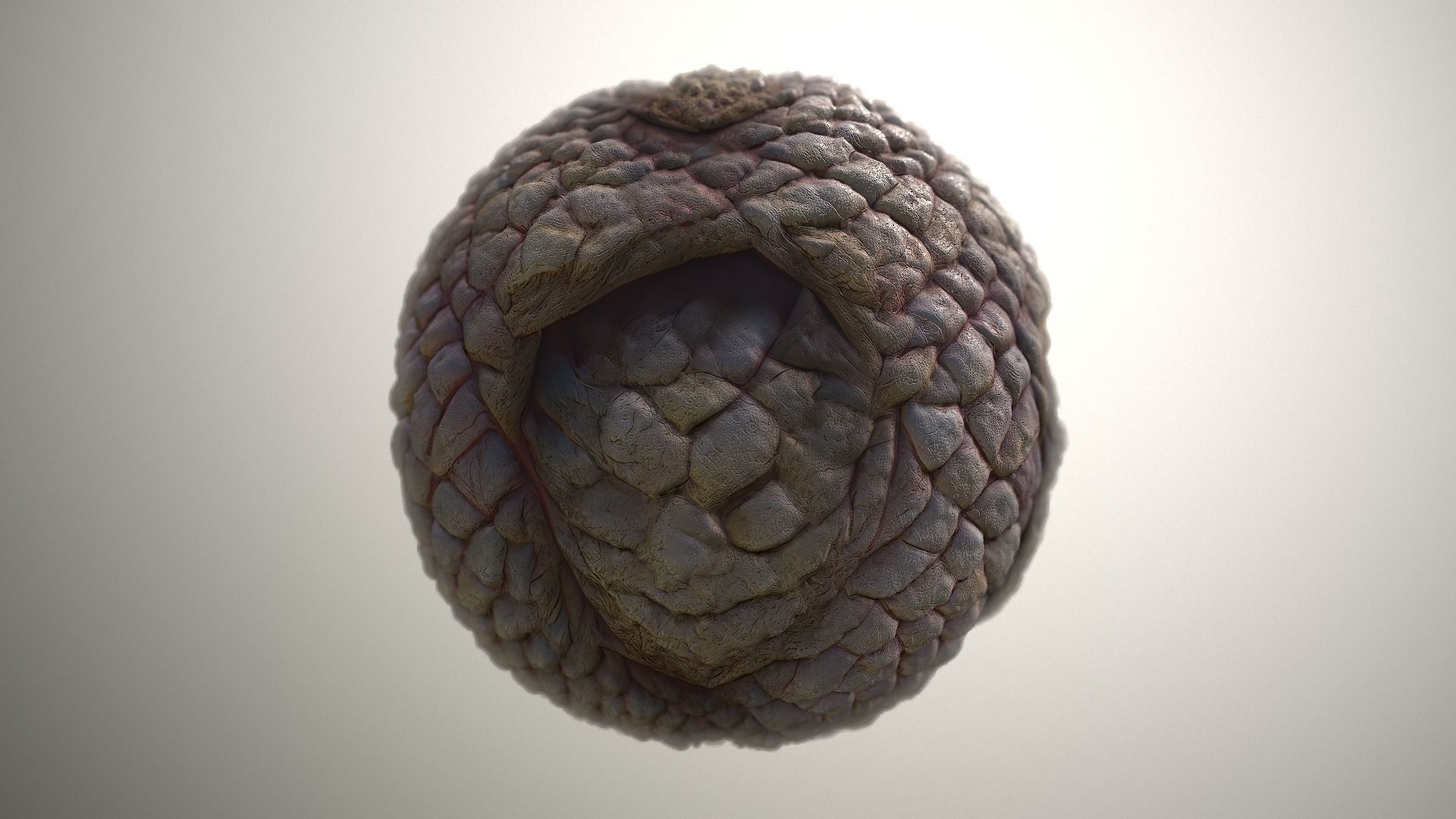 Material Skin Monster 49 Seamless PBR Texture Texture_19