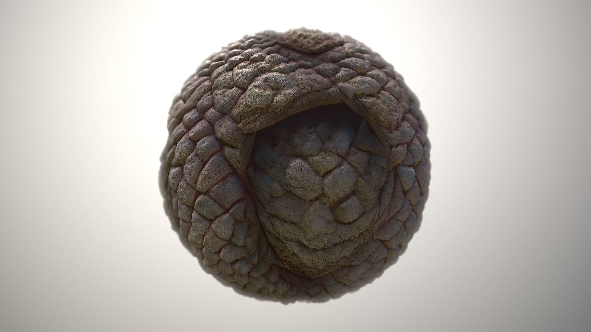 Material Skin Monster 49 Seamless PBR Texture Texture_3