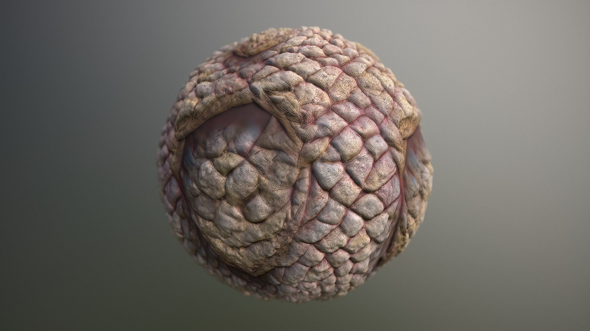 Material Skin Monster 49 Seamless PBR Texture Texture_15