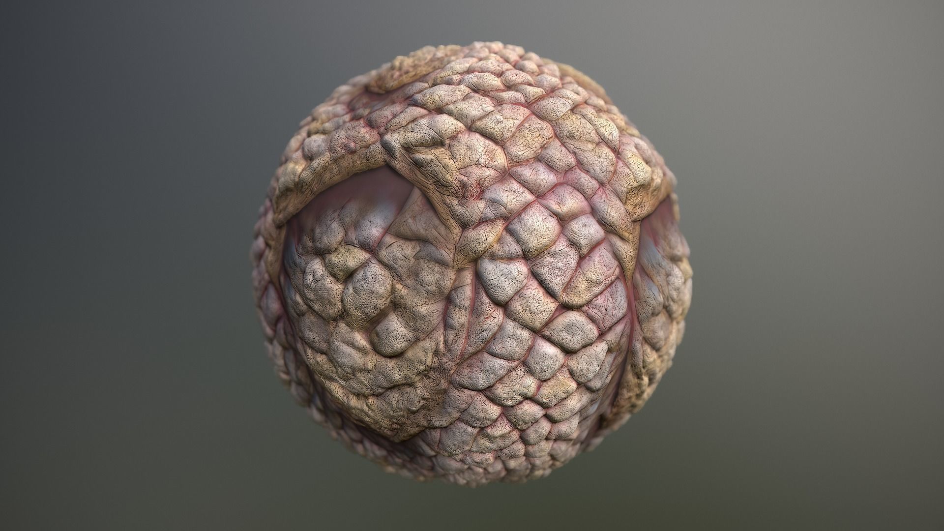 Material Skin Monster 49 Seamless PBR Texture Texture_13