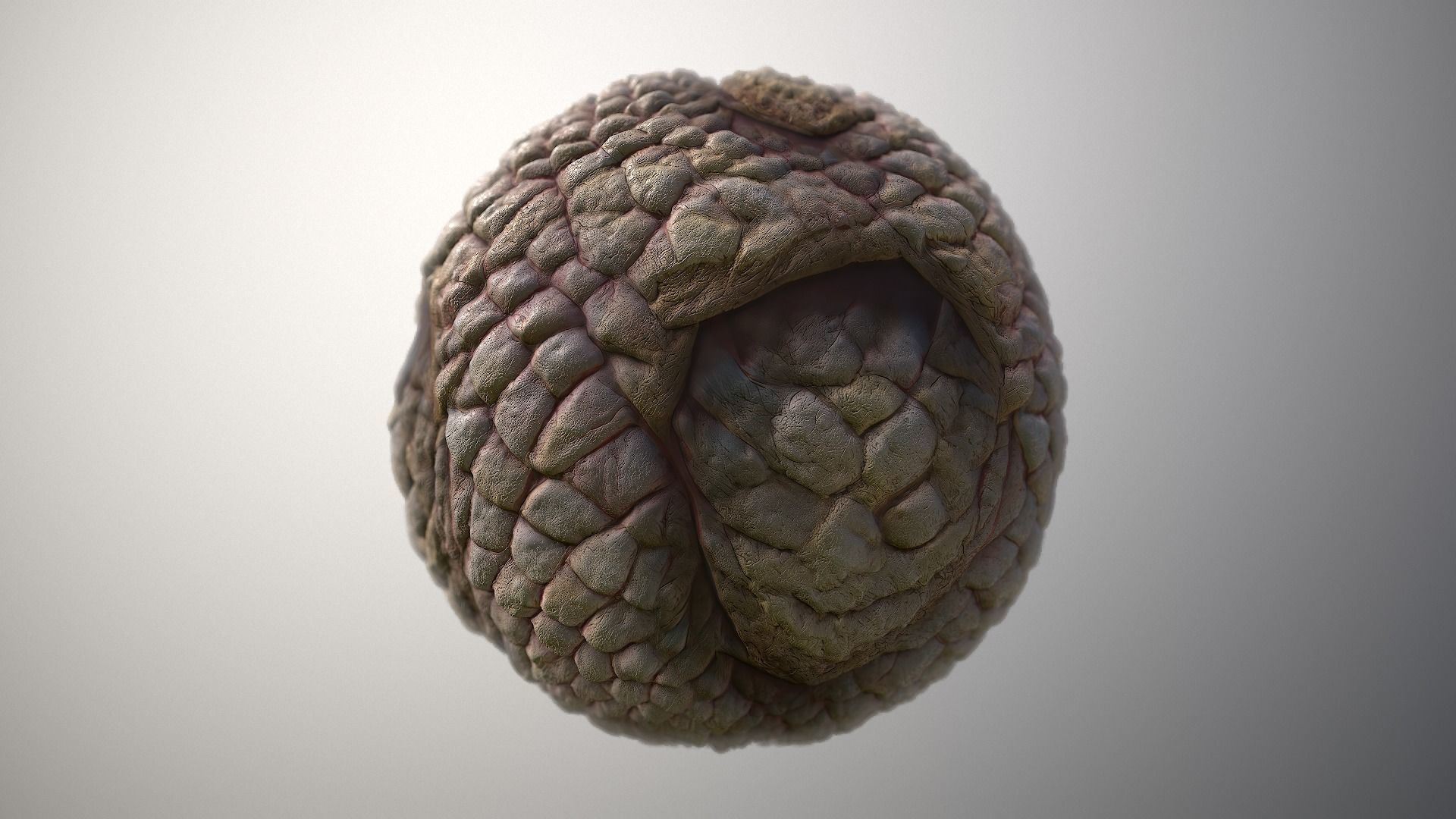 Material Skin Monster 49 Seamless PBR Texture Texture_5