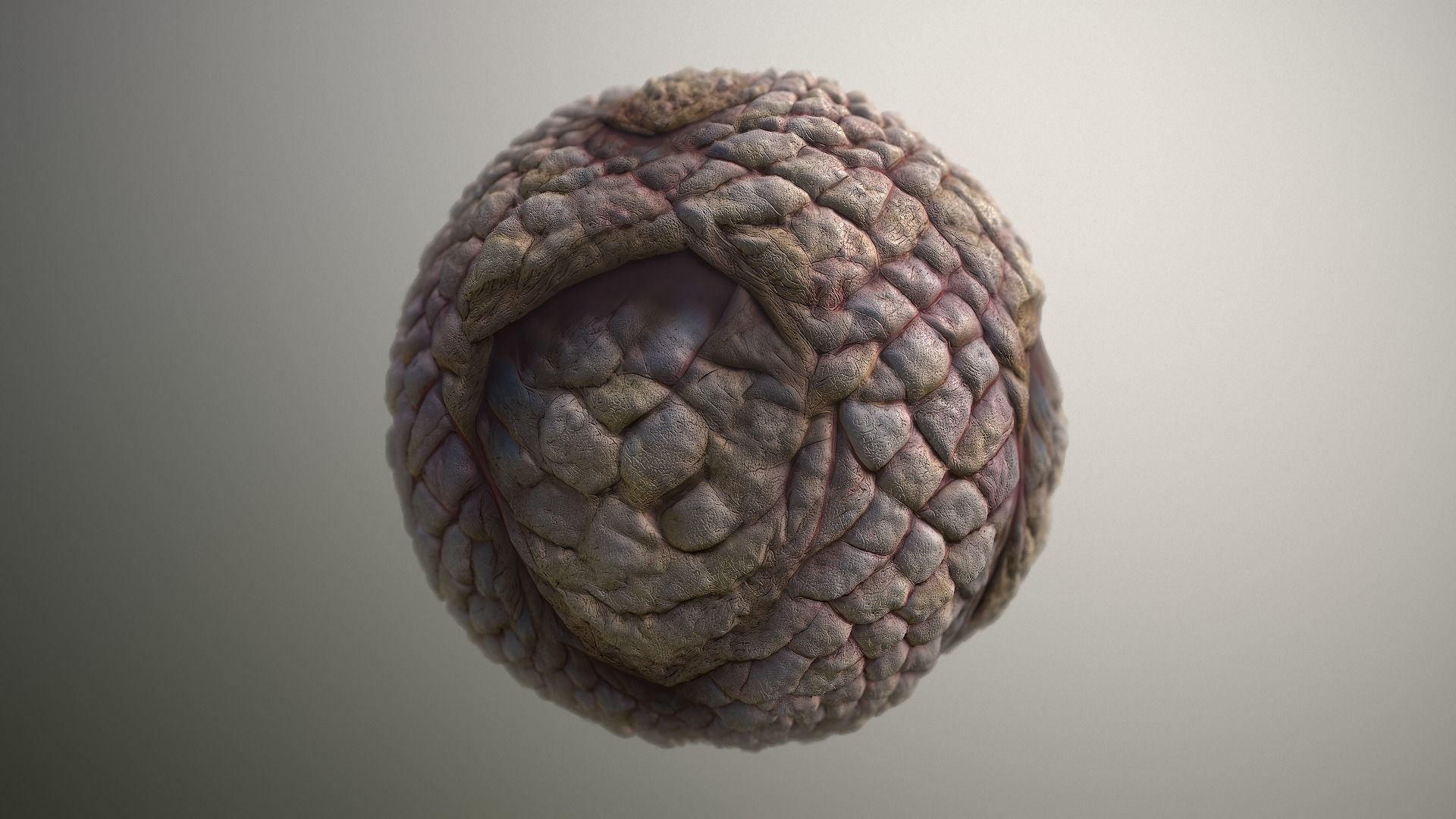 Material Skin Monster 49 Seamless PBR Texture Texture_17
