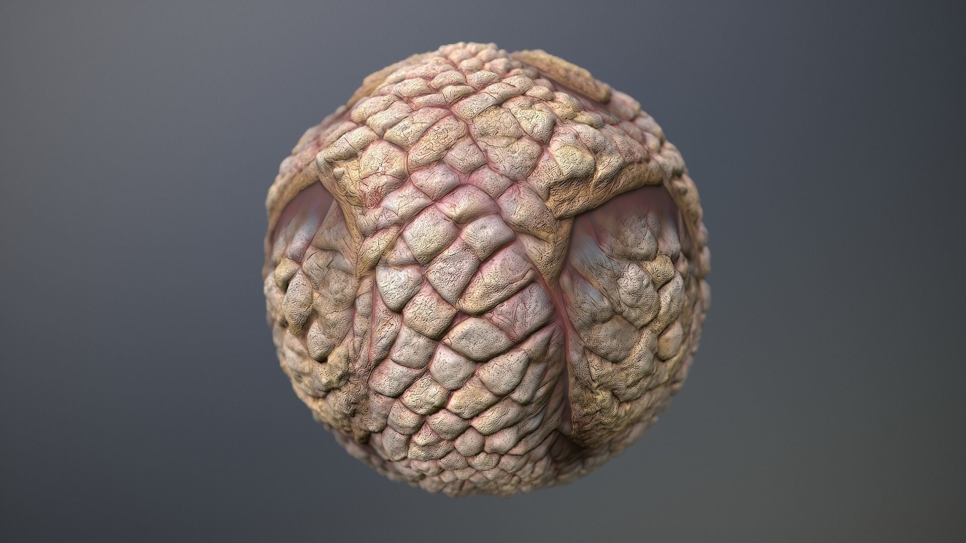 Material Skin Monster 49 Seamless PBR Texture Texture_10