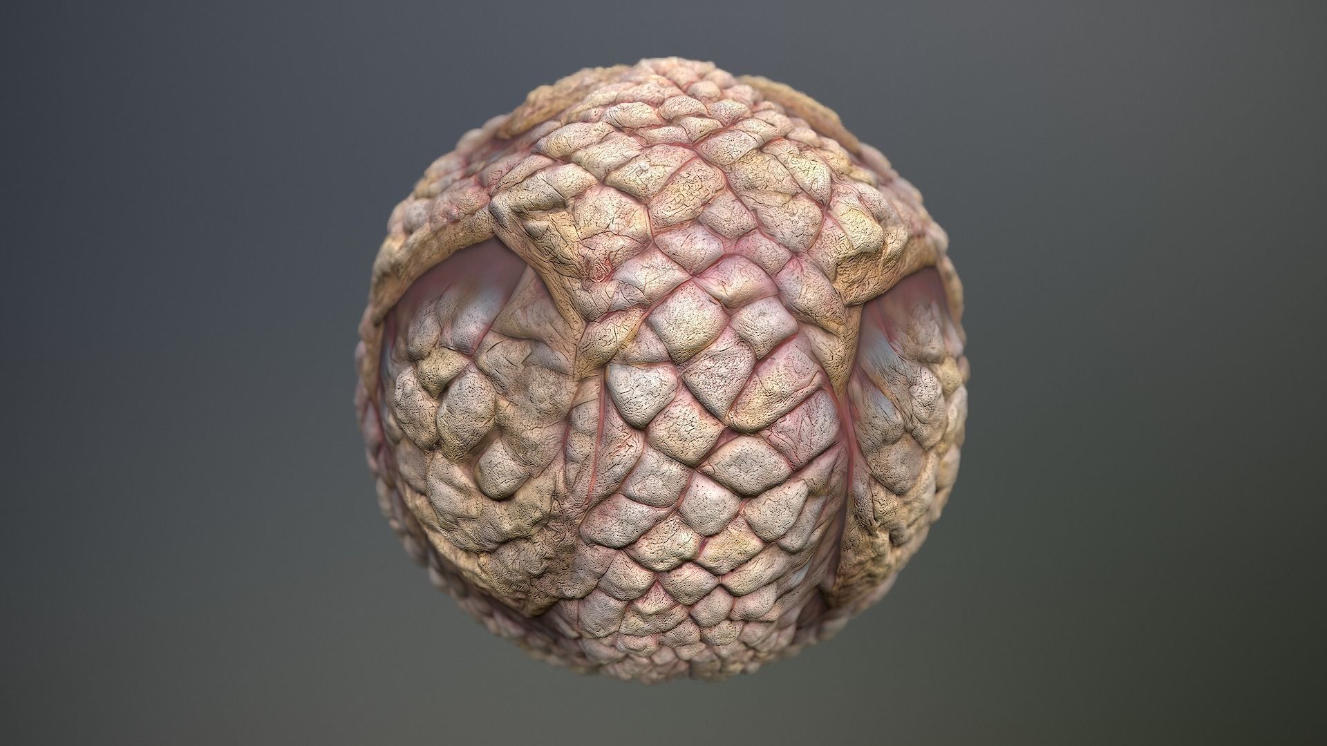 Material Skin Monster 49 Seamless PBR Texture Texture_14