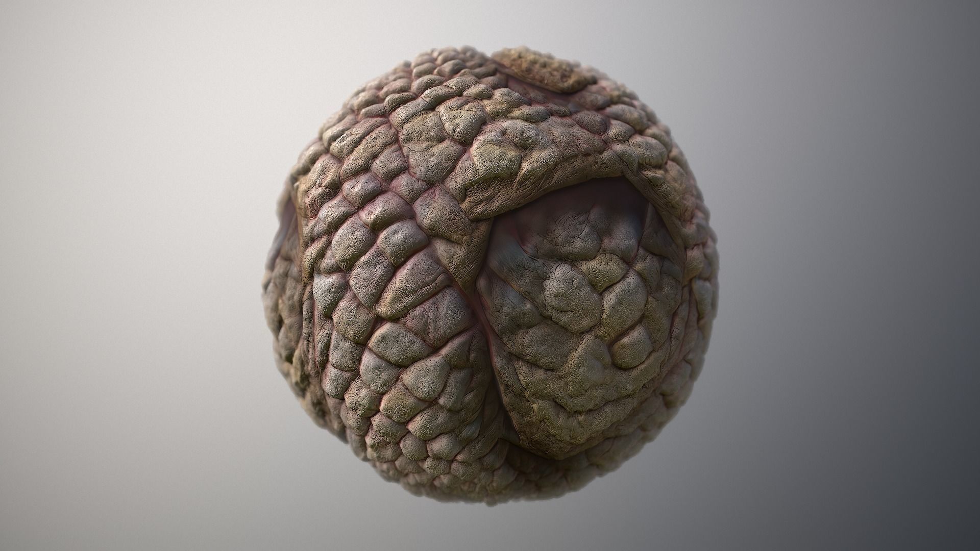 Material Skin Monster 49 Seamless PBR Texture Texture_6