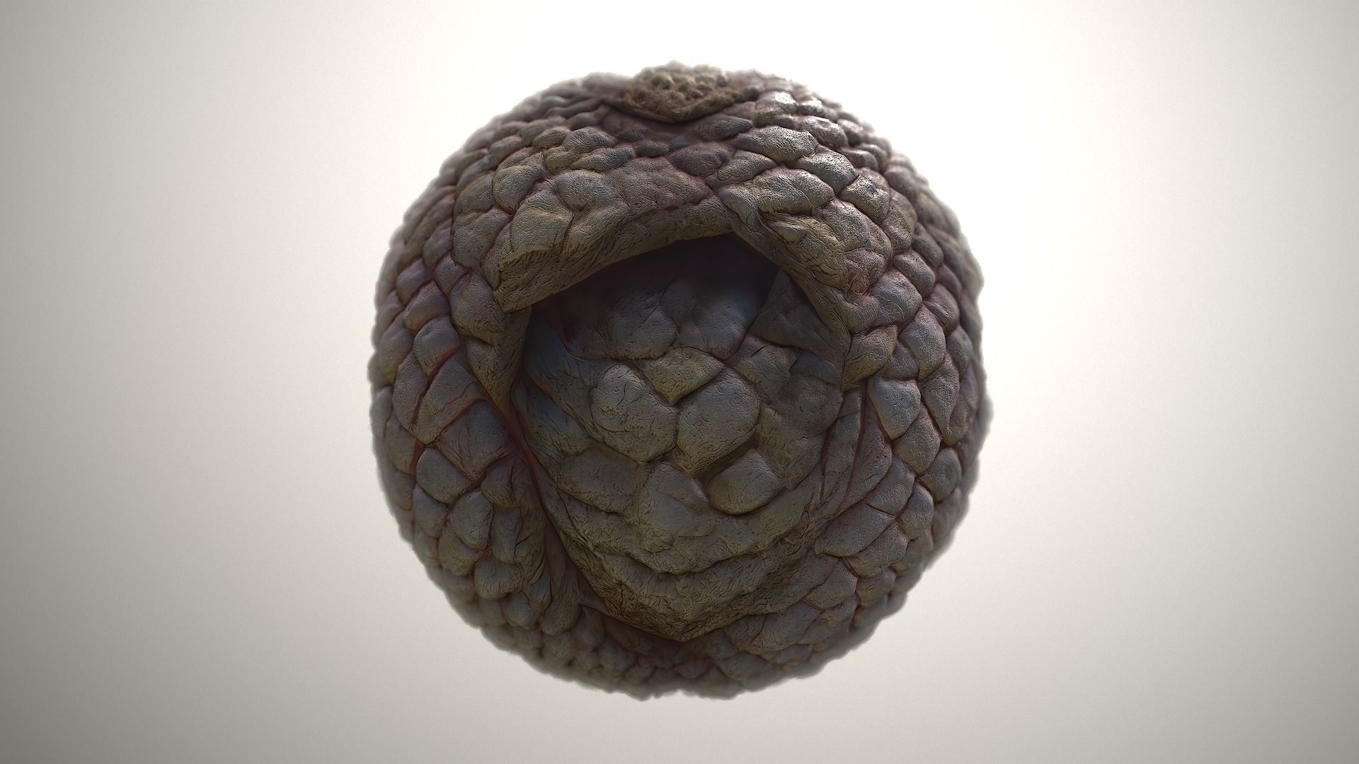 Material Skin Monster 49 Seamless PBR Texture Texture_20