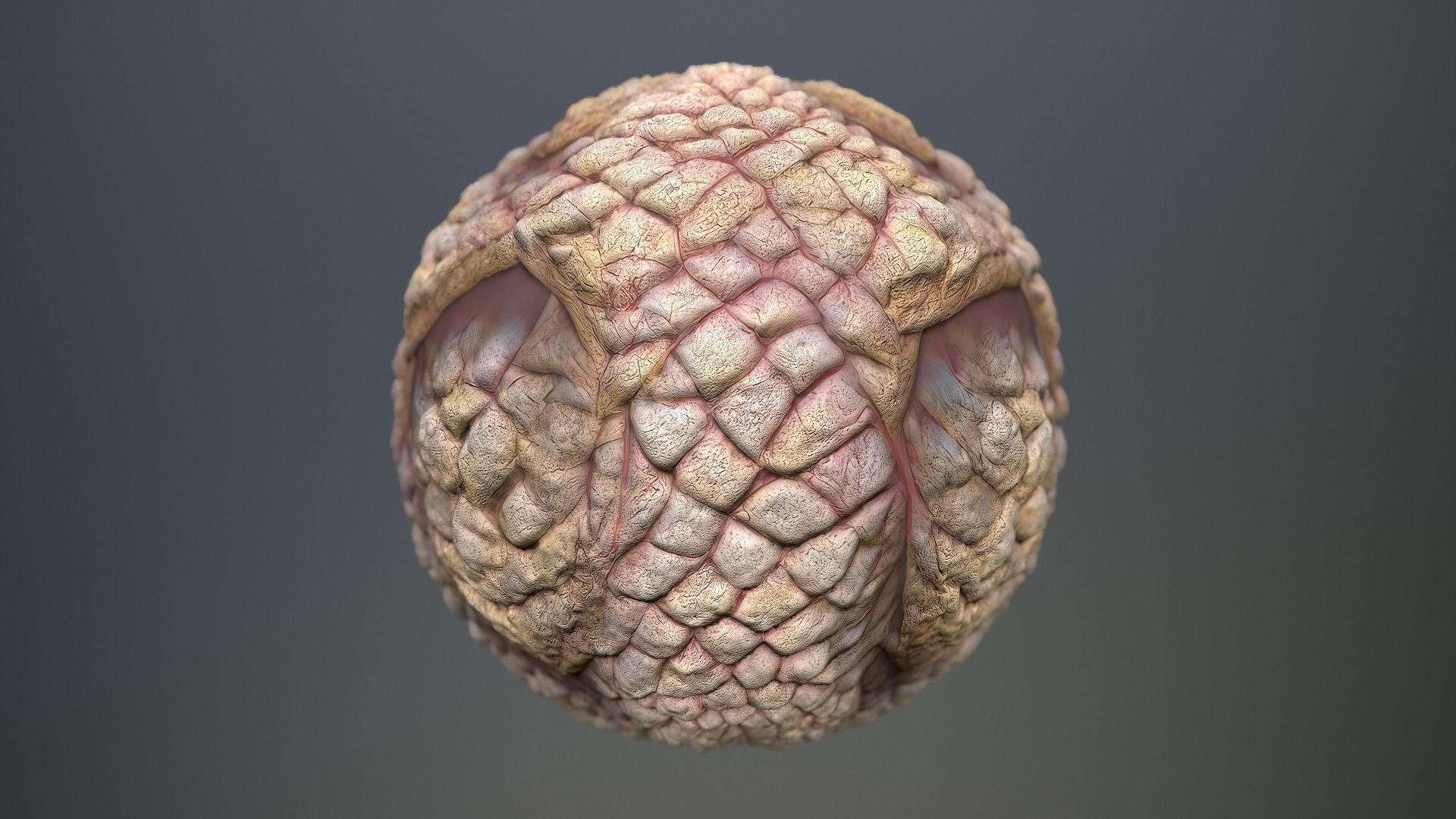 Material Skin Monster 49 Seamless PBR Texture Texture_12