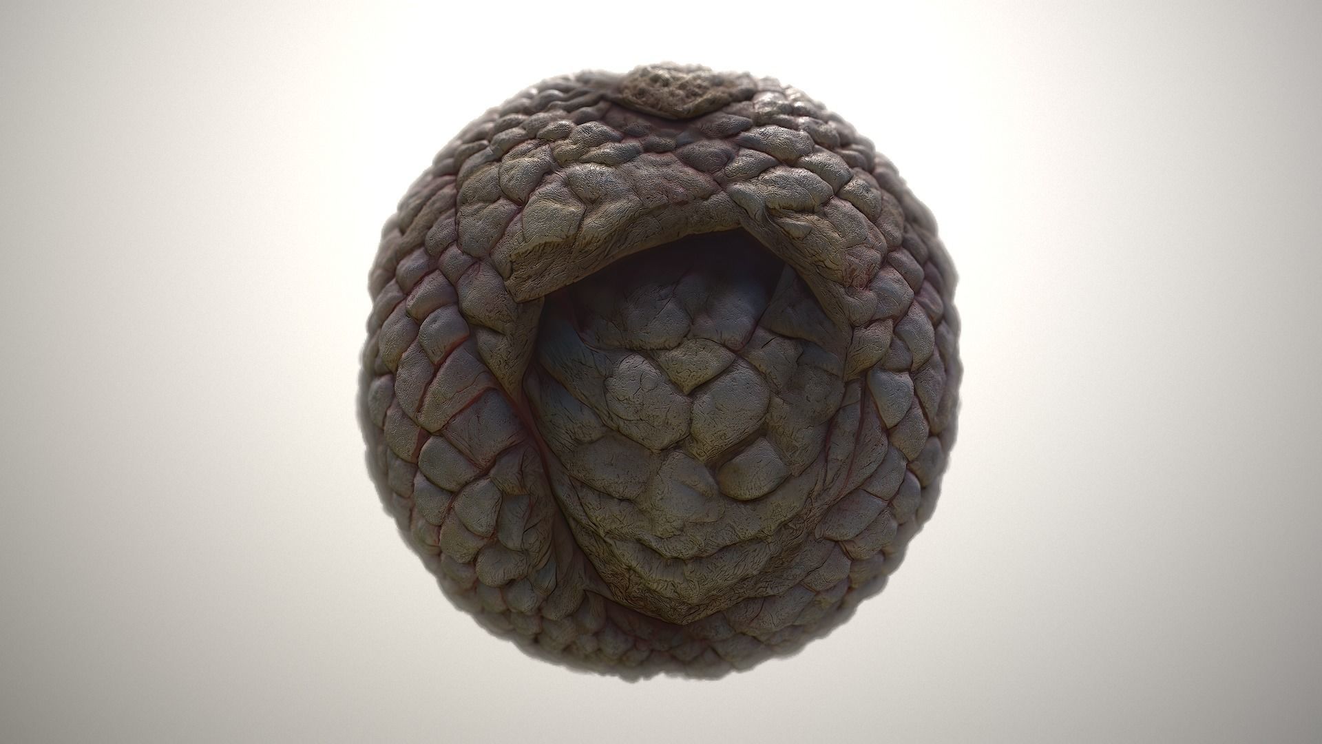 Material Skin Monster 49 Seamless PBR Texture Texture_21