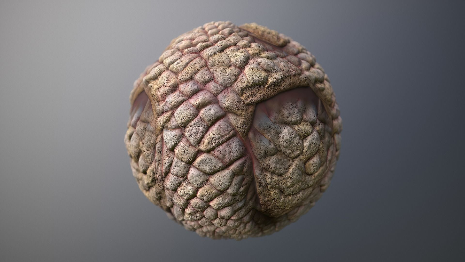 Material Skin Monster 49 Seamless PBR Texture Texture_8