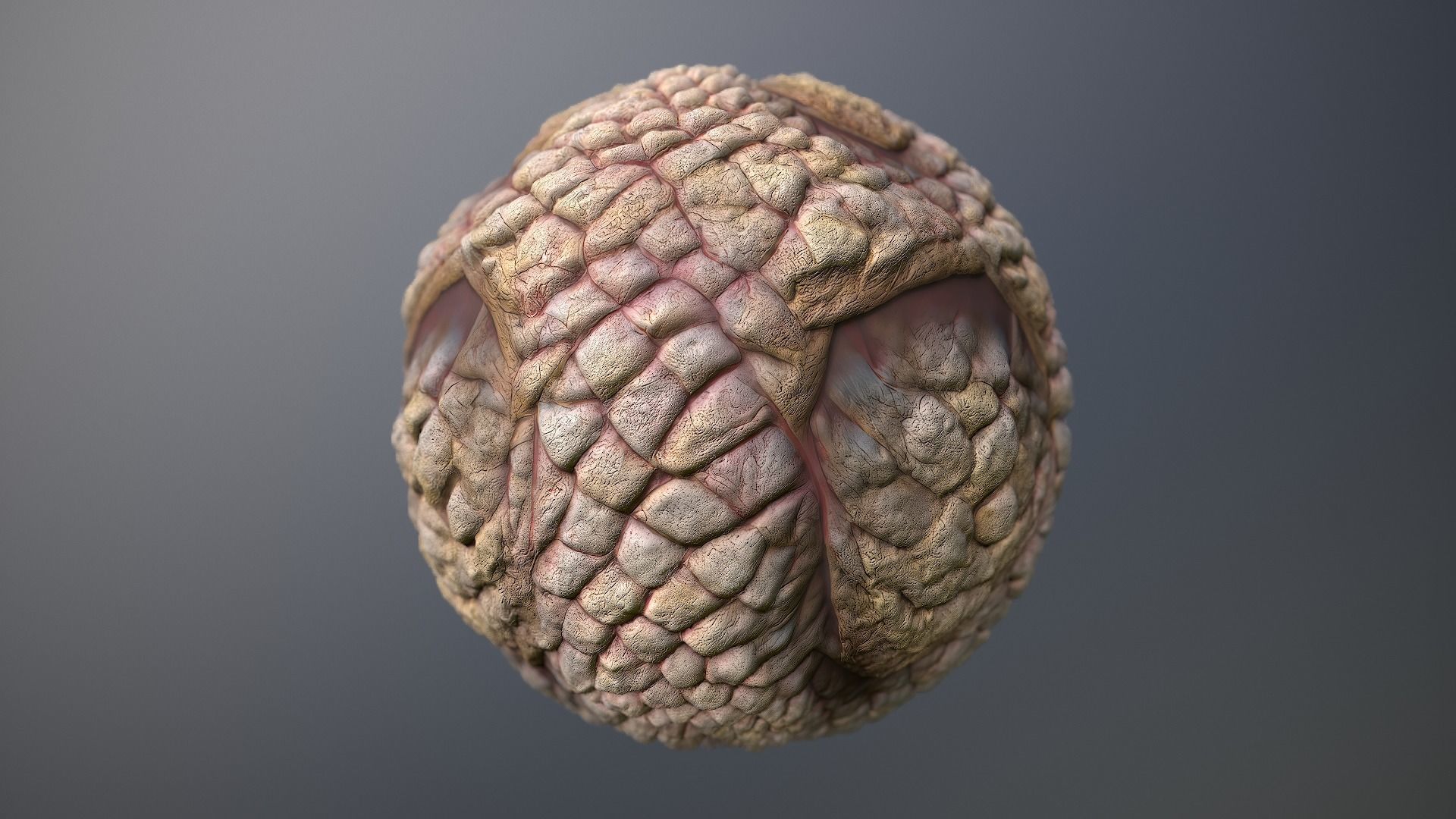 Material Skin Monster 49 Seamless PBR Texture Texture_9