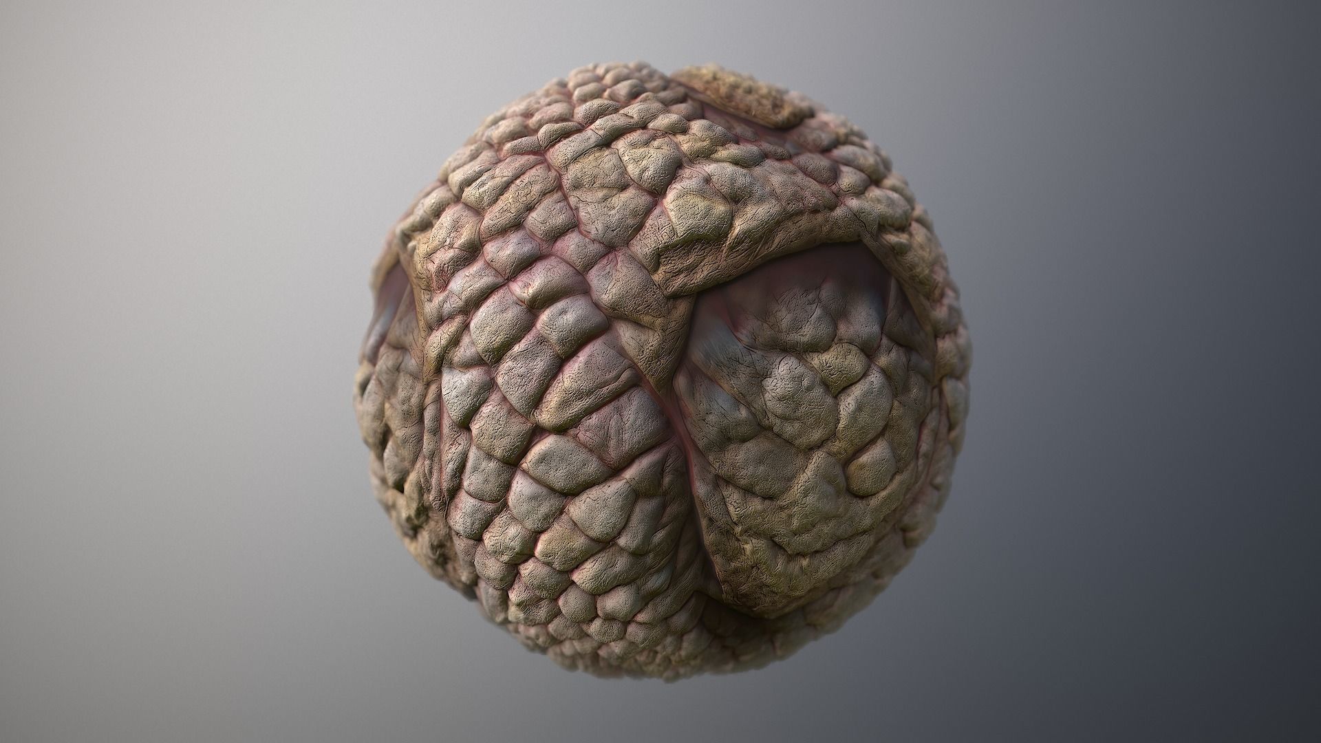 Material Skin Monster 49 Seamless PBR Texture Texture_7
