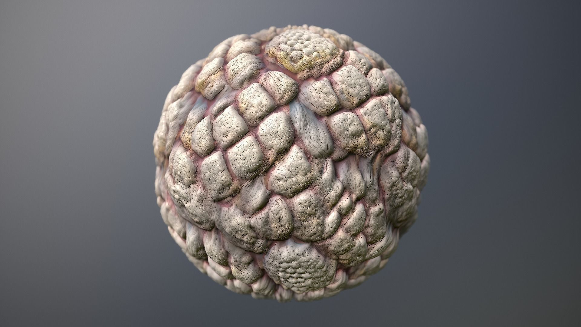 Material Skin Monster 47 Seamless PBR Texture Texture_9
