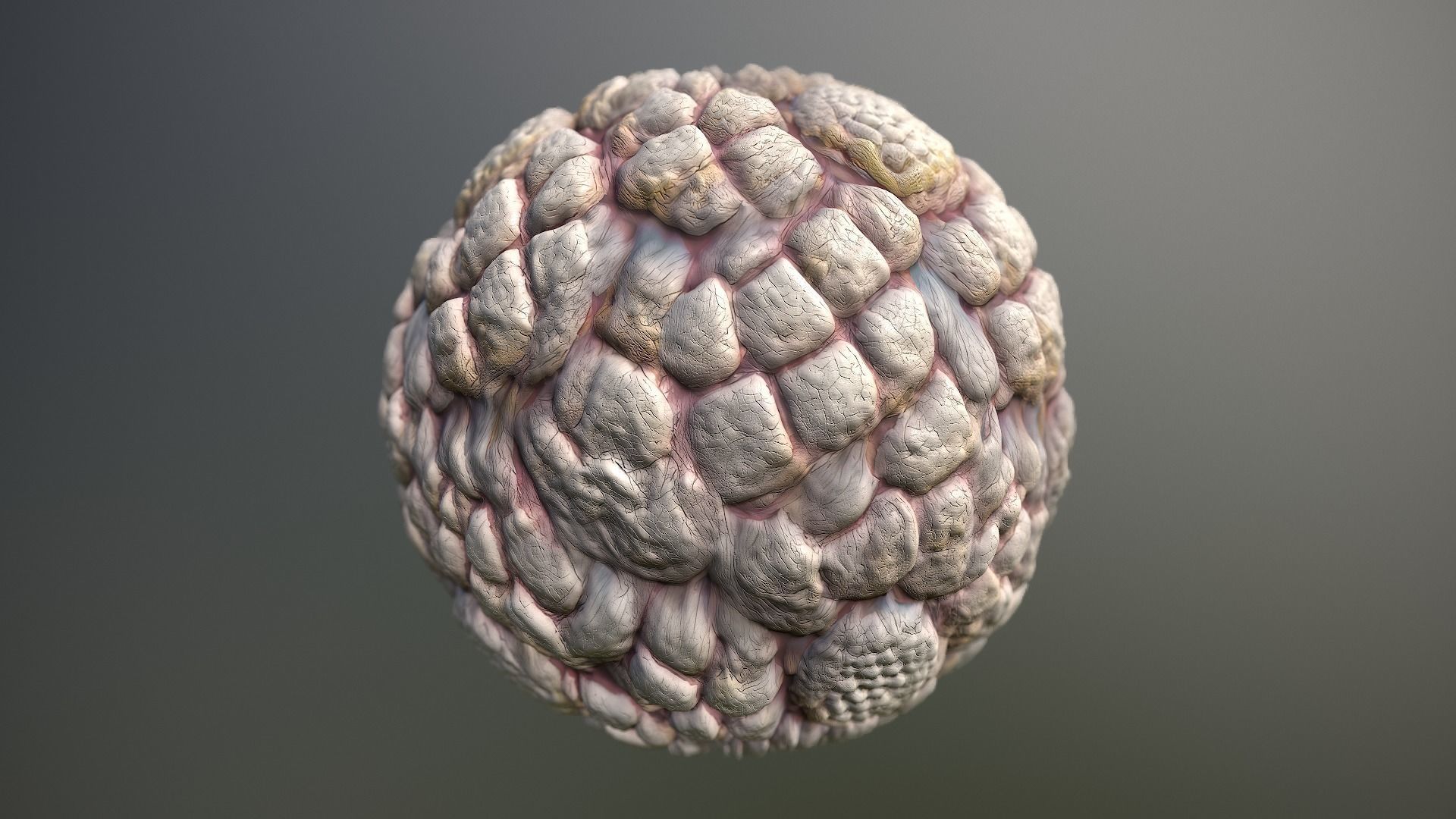 Material Skin Monster 47 Seamless PBR Texture Texture_13