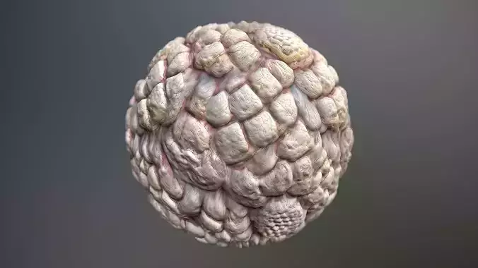 Material Skin Monster 47 Seamless PBR Texture Texture