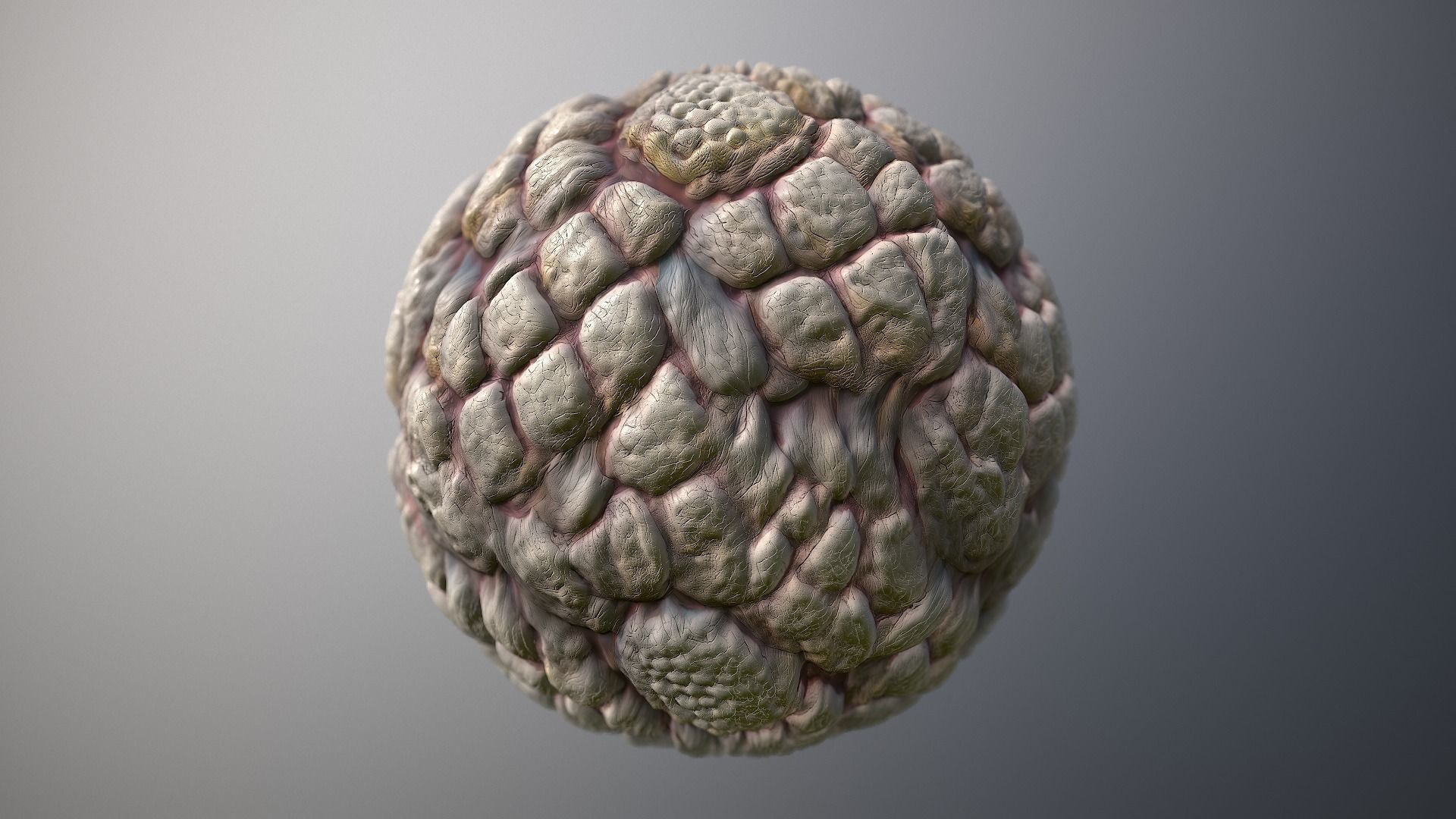 Material Skin Monster 47 Seamless PBR Texture Texture_7