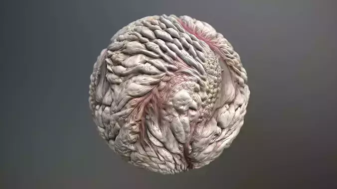 Material Skin Monster 43 Seamless PBR Texture Texture