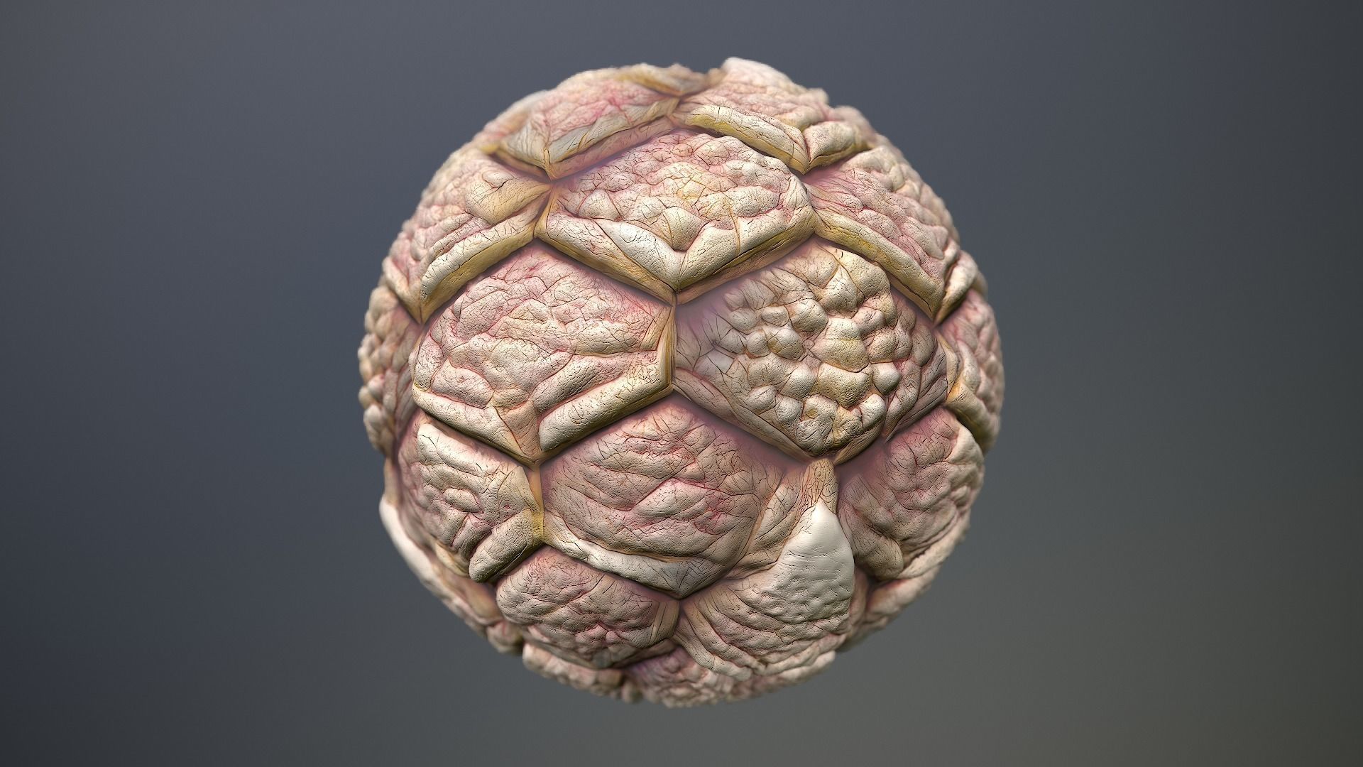 Material Skin Monster 42 Seamless PBR Texture Texture_11