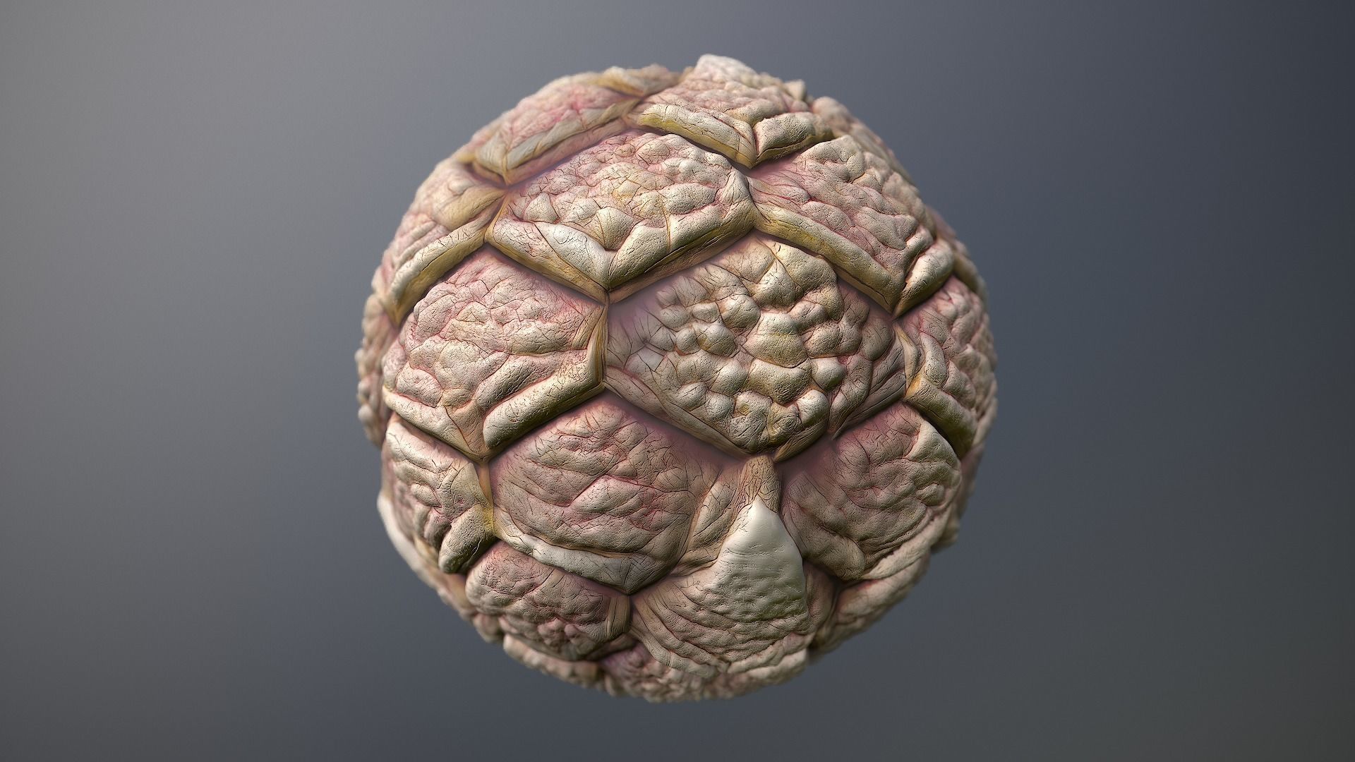 Material Skin Monster 42 Seamless PBR Texture Texture_9