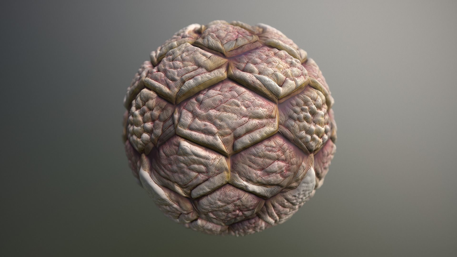 Material Skin Monster 42 Seamless PBR Texture Texture_15