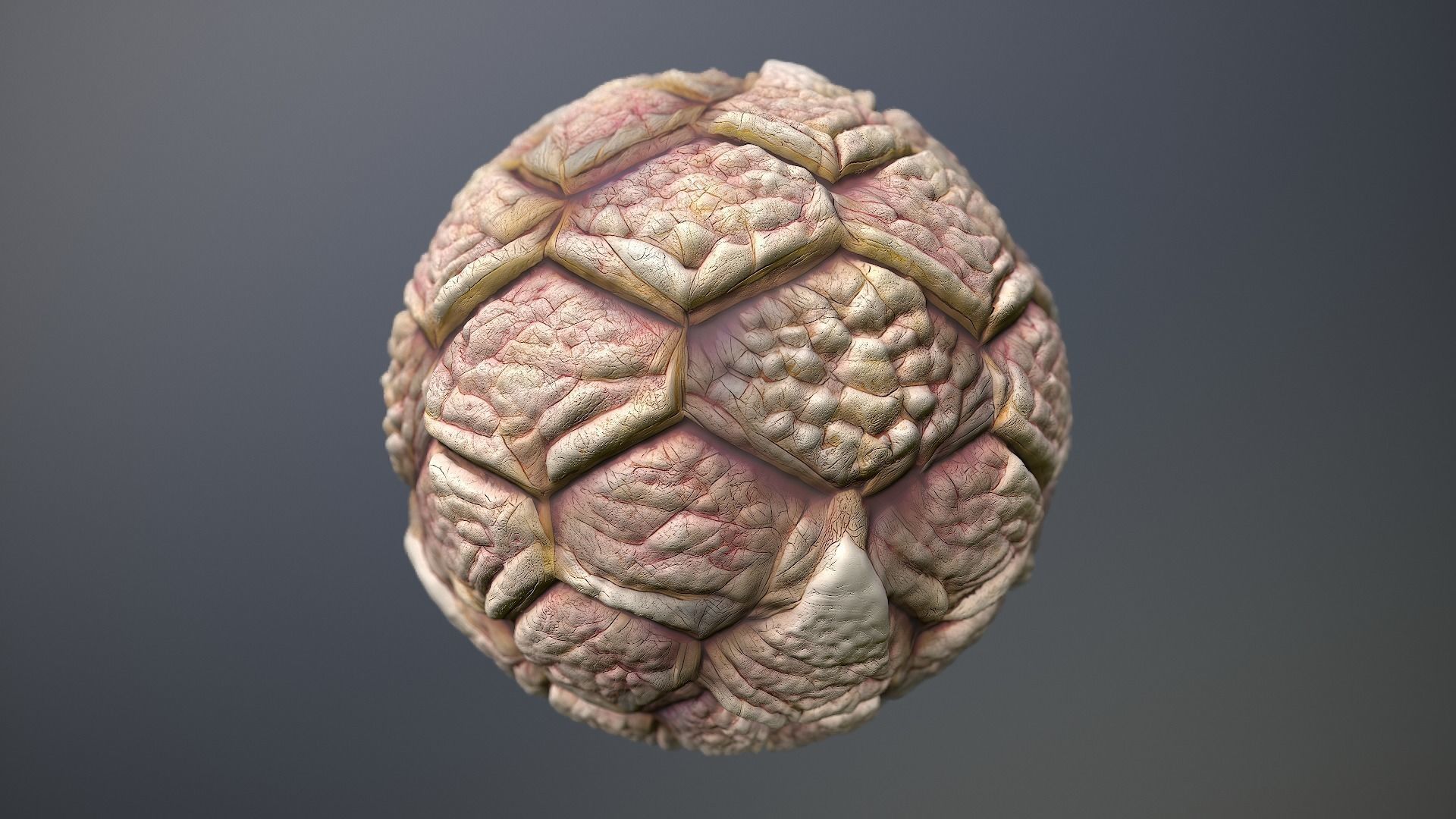 Material Skin Monster 42 Seamless PBR Texture Texture_10