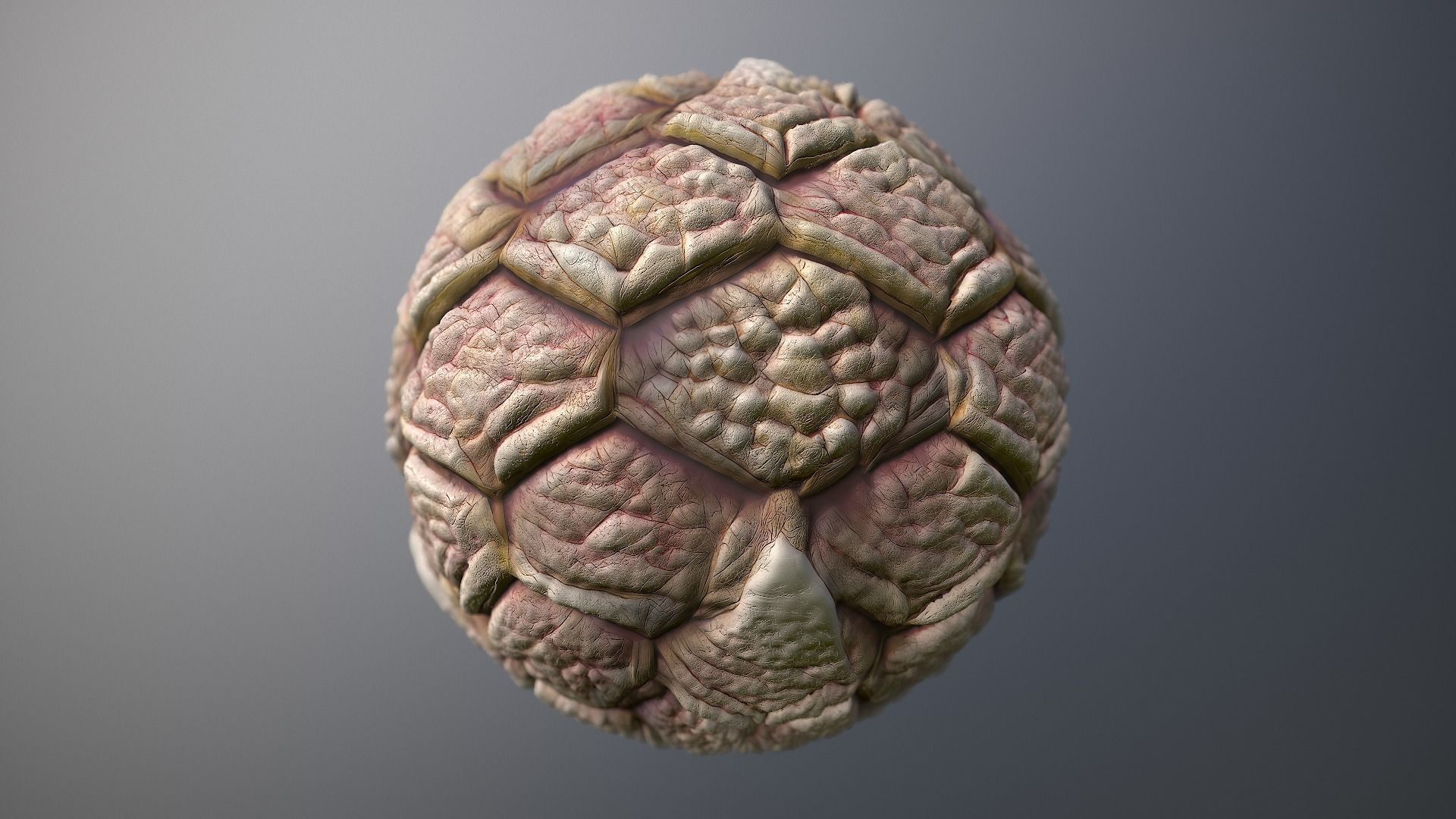 Material Skin Monster 42 Seamless PBR Texture Texture_8