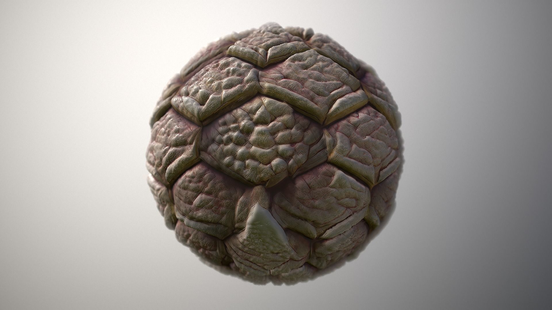 Material Skin Monster 42 Seamless PBR Texture Texture_5