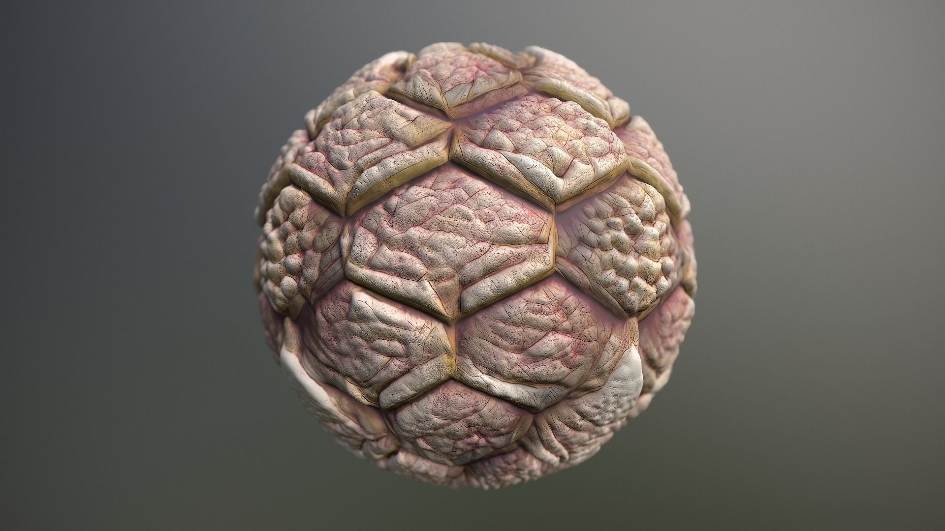 Material Skin Monster 42 Seamless PBR Texture Texture_13