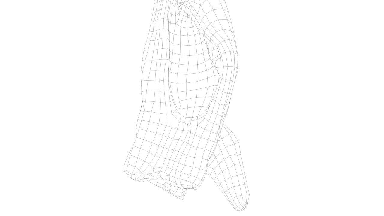 Pork Body Half Low-poly 3D model_2