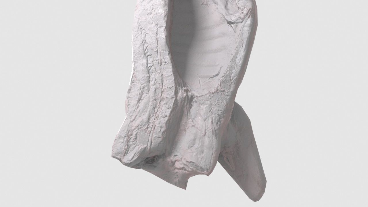 Pork Body Half Low-poly 3D model_1
