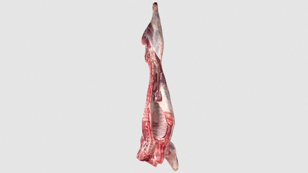 Pork Body Half Low-poly 3D model_6