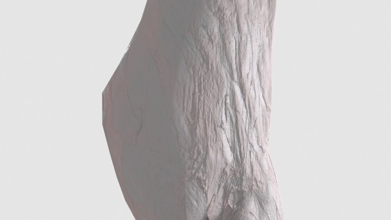 Pork Body Half Low-poly 3D model_5