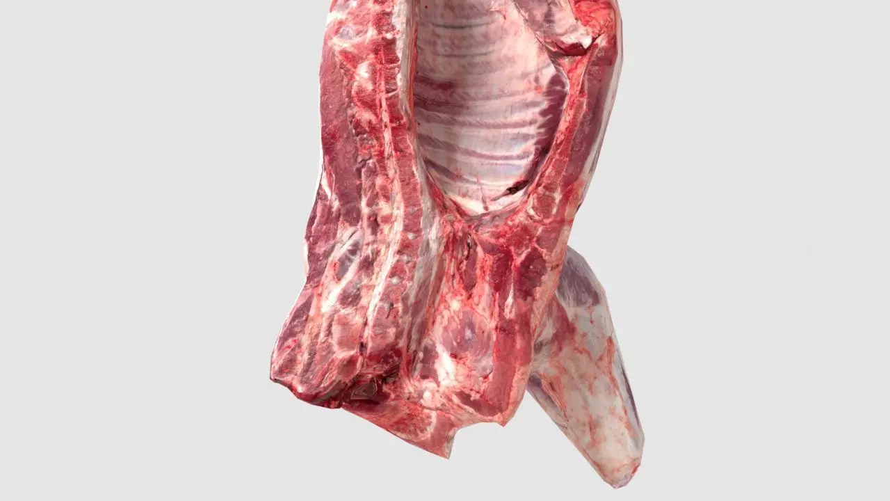 Pork Body Half Low-poly 3D model_0