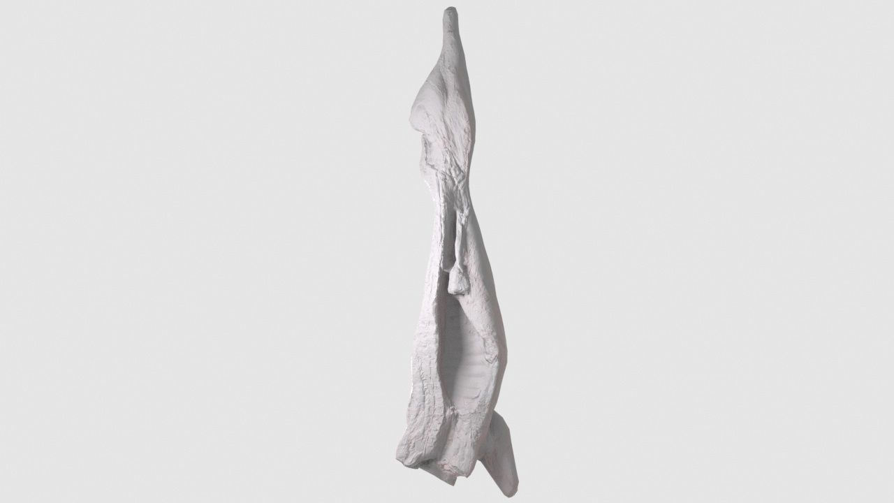 Pork Body Half Low-poly 3D model_7