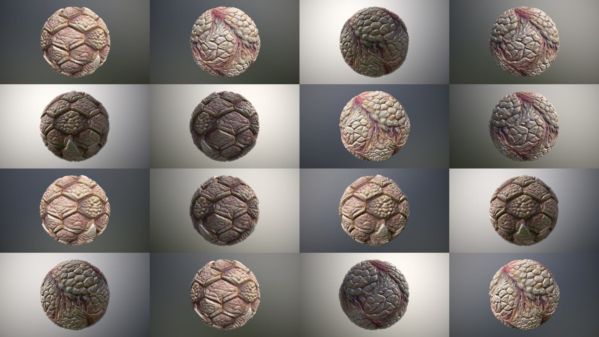 50 Materials Skin Monster Seamless PBR Bundle 1 Texture_7