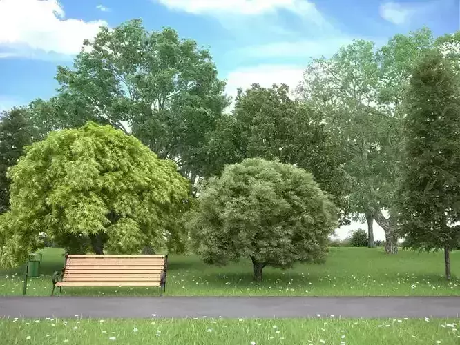 Realistic Tree Collection park with trees and bench