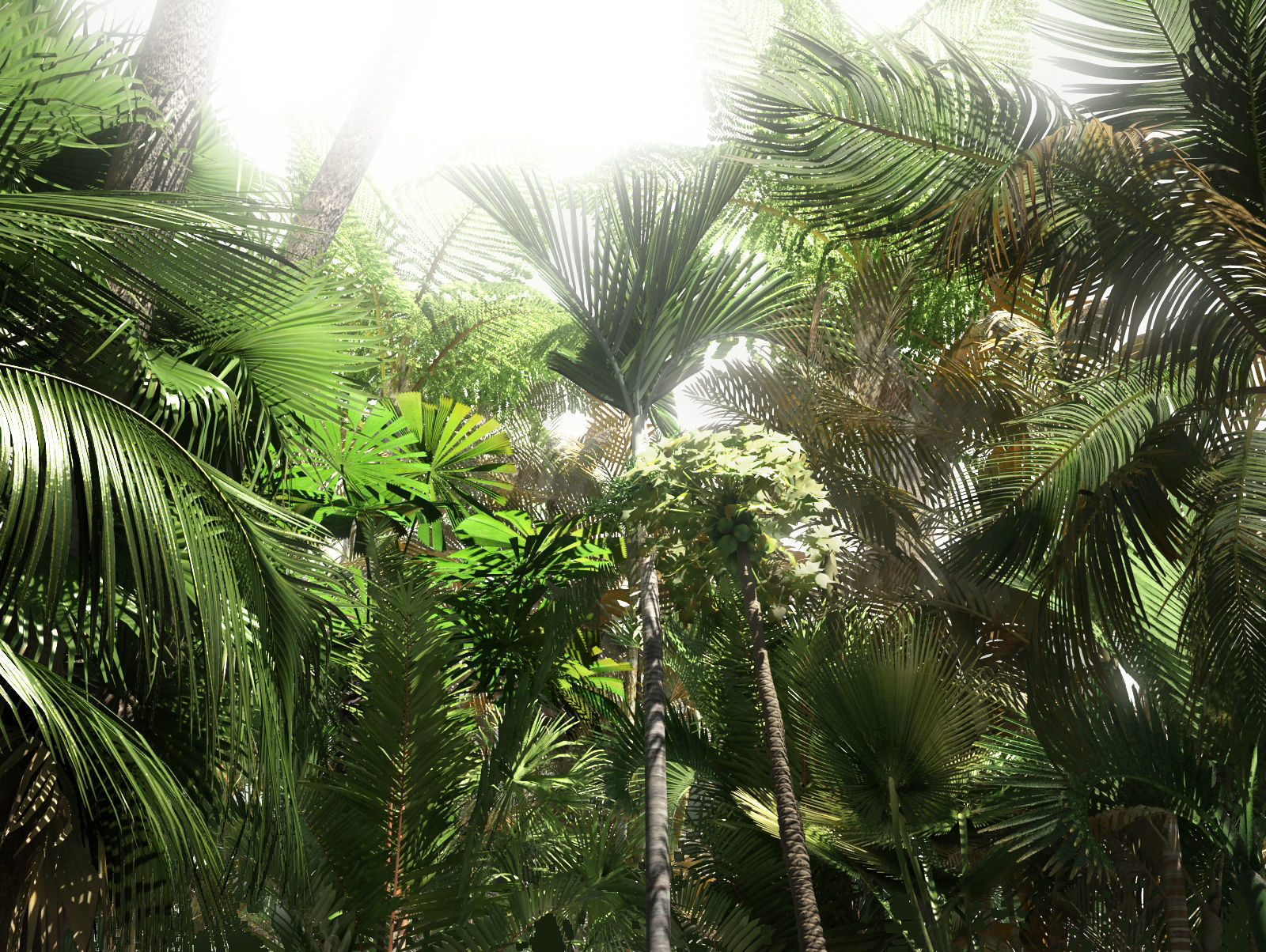 Archmodels vol 85 - Tropical Trees Collection 3D model_2