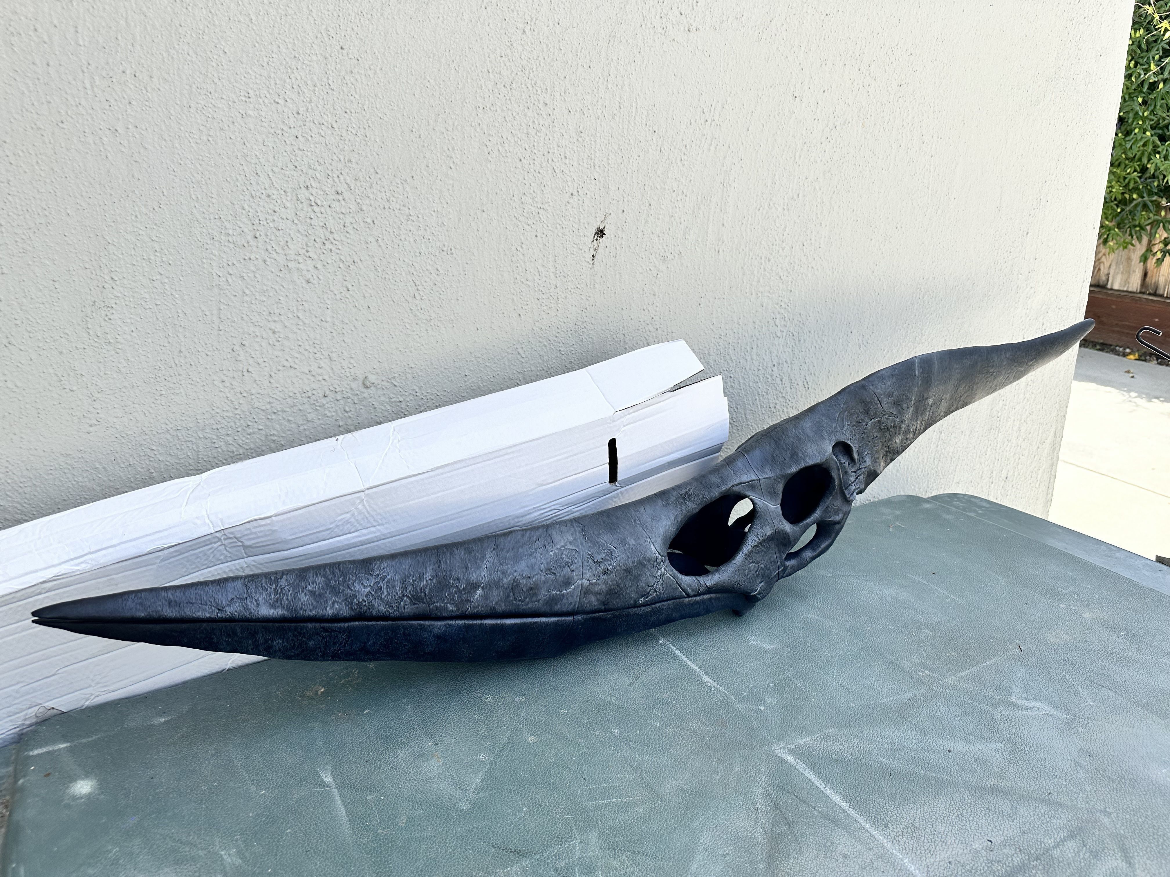 Pteranodon Skull 3d Print Model 3D print model_1