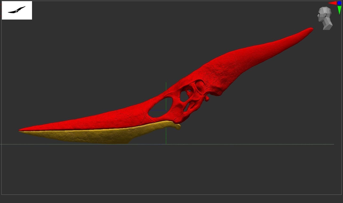 Pteranodon Skull 3d Print Model 3D print model_9