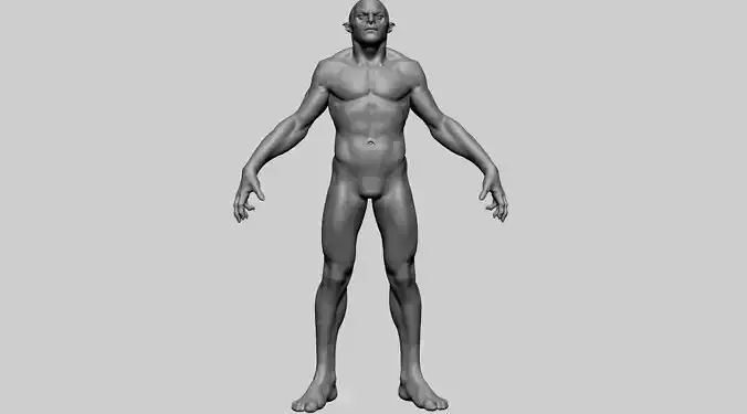 Male Anatomy B 3D model