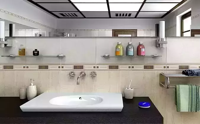 Archmodels vol 46 - bathroom gadgets 3D model