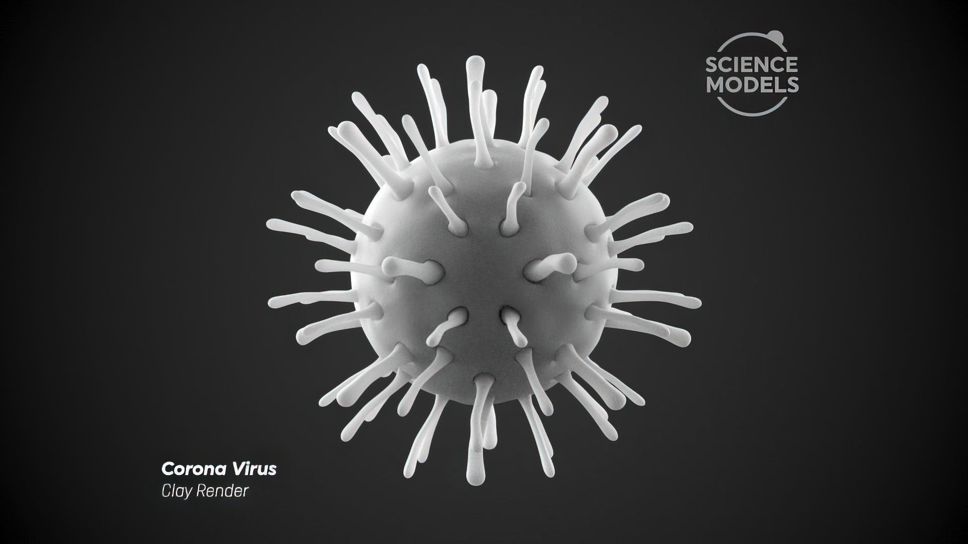 Corona Virus 3D model_4