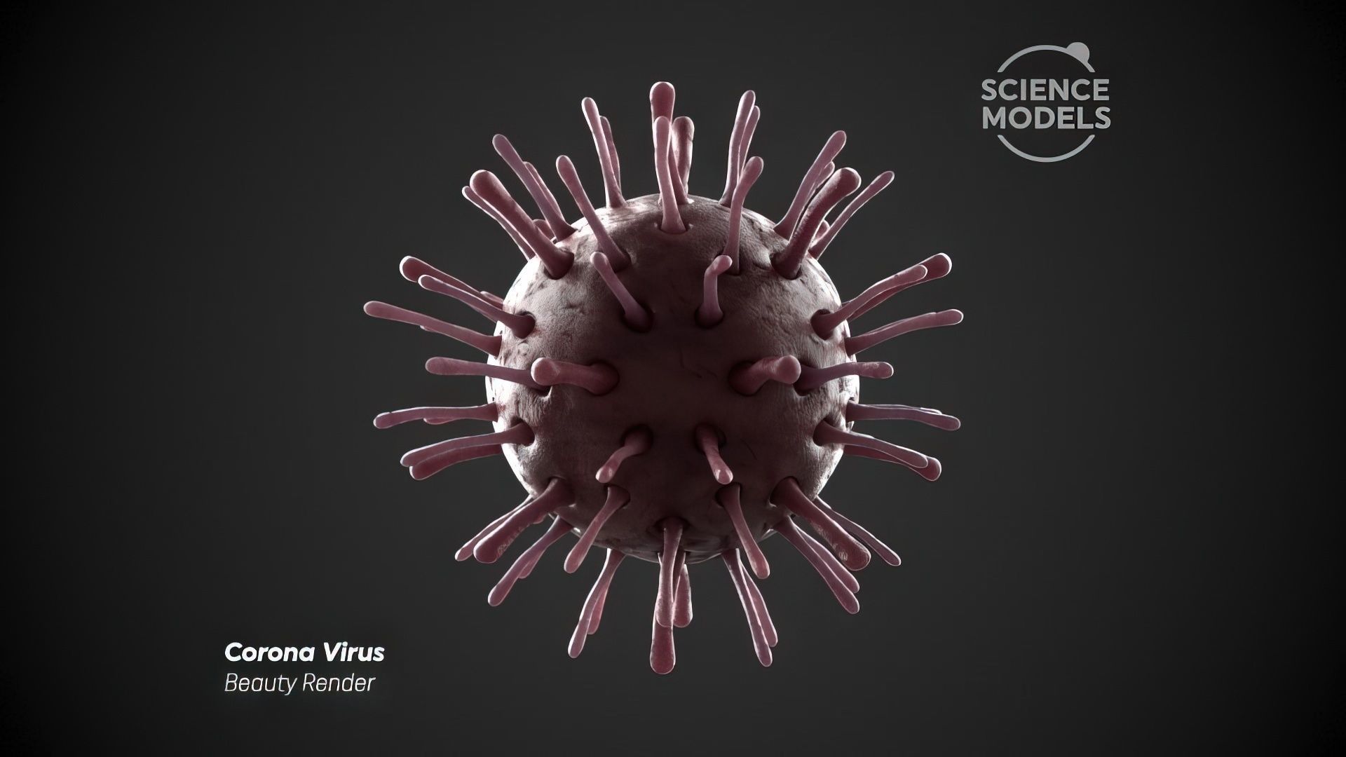 Corona Virus 3D model_3